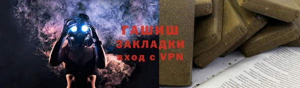 тгк Бородино